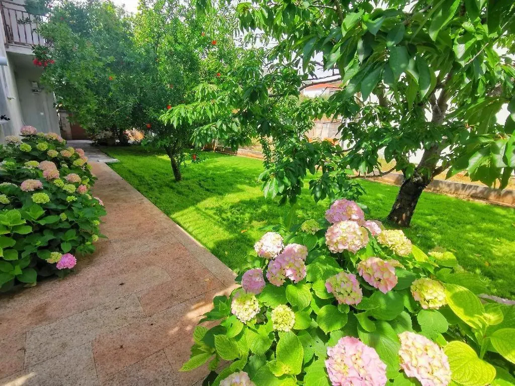 Apartments Adriana Seget Vranjica